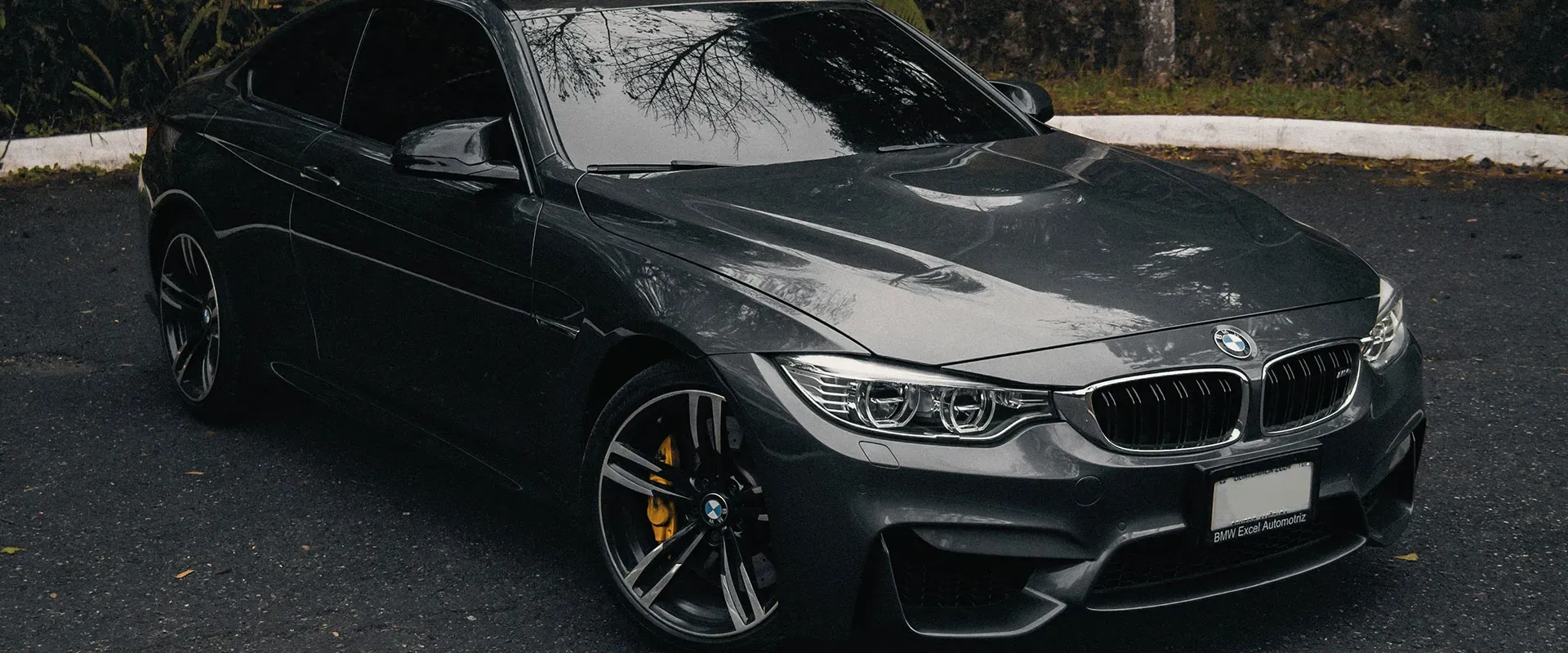 European Repair near Bolingbrook, IL